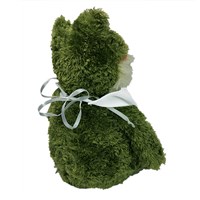 Romantic Plush Frog | Personalized Stuffed Animals For Valentine's Day