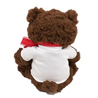 Plush Valentine's Day Bear | Personalized Valentine's Bear