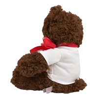 Plush Valentine's Day Bear | Personalized Valentine's Bear