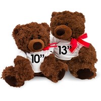 Plush Valentine's Day Bear | Personalized Valentine's Bear