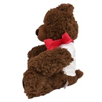Plush Valentine's Day Bear | Personalized Valentine's Bear