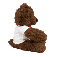 Plush Valentine's Day Bear | Personalized Valentine's Bear
