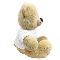 Thinking of You Teddy Bear 83000B17-8117