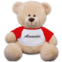 Personalized Any Name Teddy Bear 83xxxb13-6208