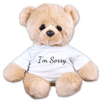 I'm Sorry Teddy Bear AU1634-8108