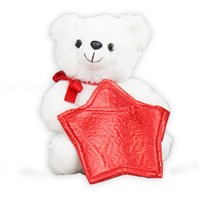 Bear Gift Card Holder AU19309BNP