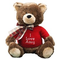 Embroidered Message Teddy Bear GU4030262-7406