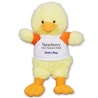 Ruddly Duck - 10