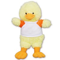 Ruddly Duck - 10