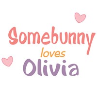 Somebunny Loves Me Pink Bunny 8BP8306509PK