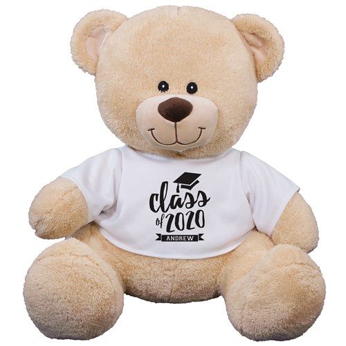 Class Of Teddy Bear 8B83102339X