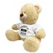Personalized Propert Of Teddy Bear 831226X