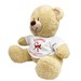 Personalized Christmas Candy Cane Teddy Bear 834989X
