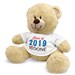 Class of 2019 Teddy Bear 83000B13-6632