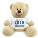 Class of 2019 Teddy Bear 83000B13-6632