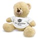 Class Of Teddy Bear 8B83102329X