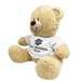 Class Of Teddy Bear 8B83102329X