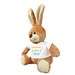 Brown Easter Bunny 8B868238