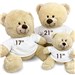 Personalized Will You Marry Me Teddy Bear 834608X