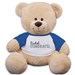 Congrats Teddy Bear 83000B13-8113