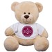 Graduation Class Of Teddy Bear 8366269X