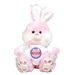 Personalized Bunny Ears Pink Easter Bunny 8BP83100039PK
