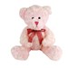 Soft Pink Teddy Bear | Soft Blue Teddy Bear