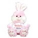 Somebunny Loves Me Pink Bunny 8BP8306509PK