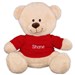Embroidered Name Teddy Bear 83000B17-7405X
