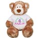 Plush Bear Hugs Teddy Bear GU15314-7943