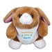 Easter Bunny 8B9082380X