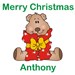 Personalized Christmas Teddy Bear 834990X