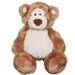 Personalized Graduation Teddy Bear GU15314-4759